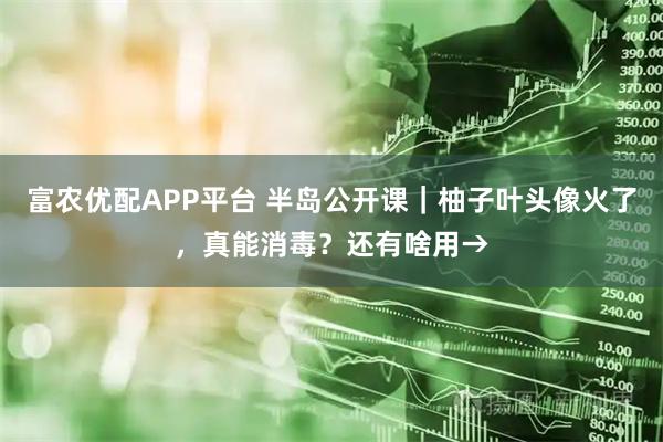 富农优配APP平台 半岛公开课｜柚子叶头像火了，真能消毒？还有啥用→