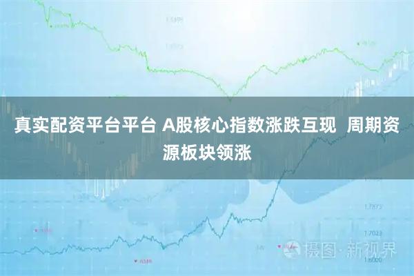 真实配资平台平台 A股核心指数涨跌互现  周期资源板块领涨