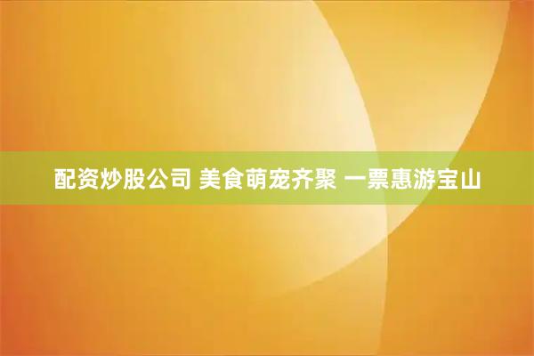 配资炒股公司 美食萌宠齐聚 一票惠游宝山
